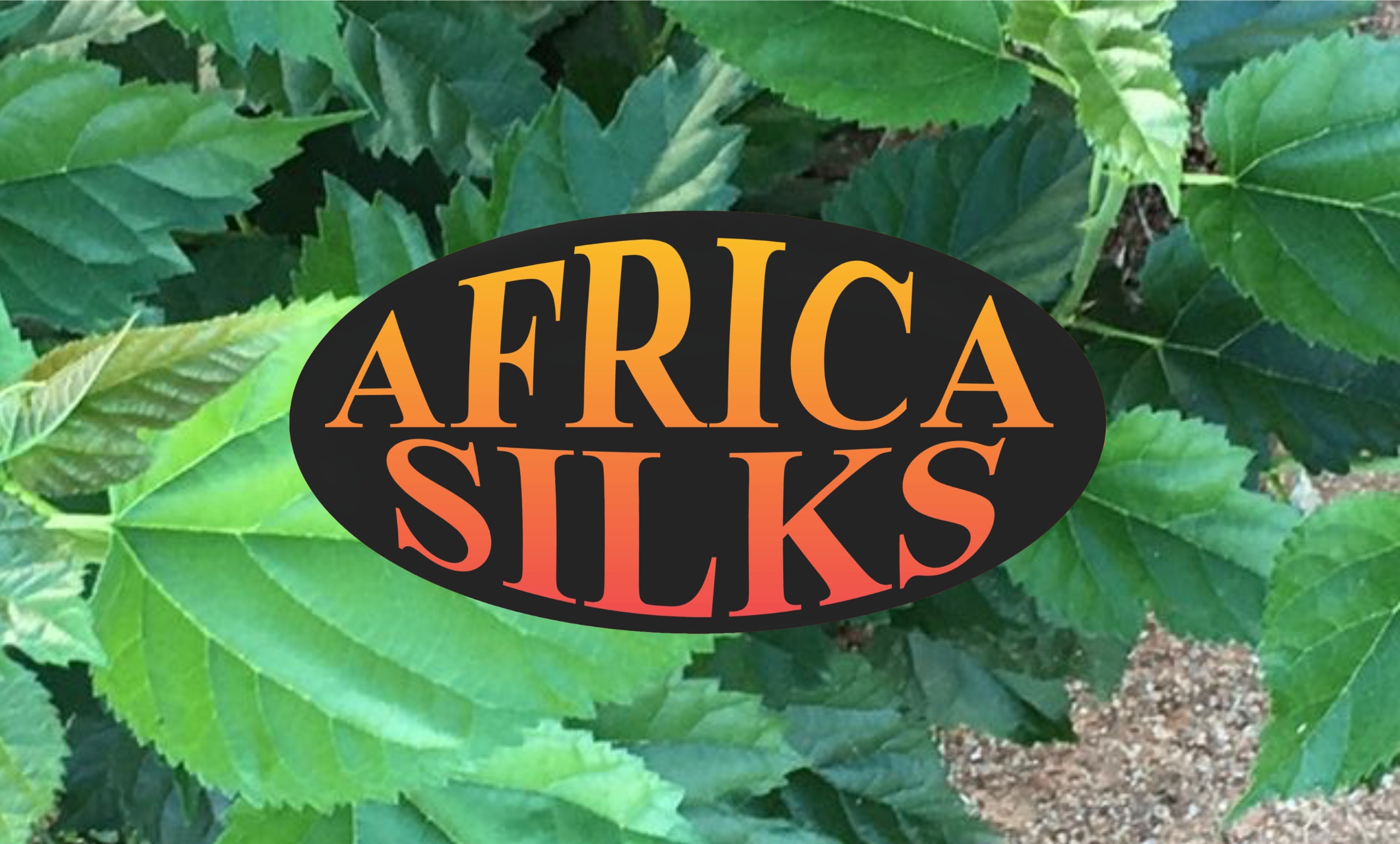 Africa Silks